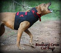 Southern Cross Dog Vest - Dirty Dawg Catch Vest