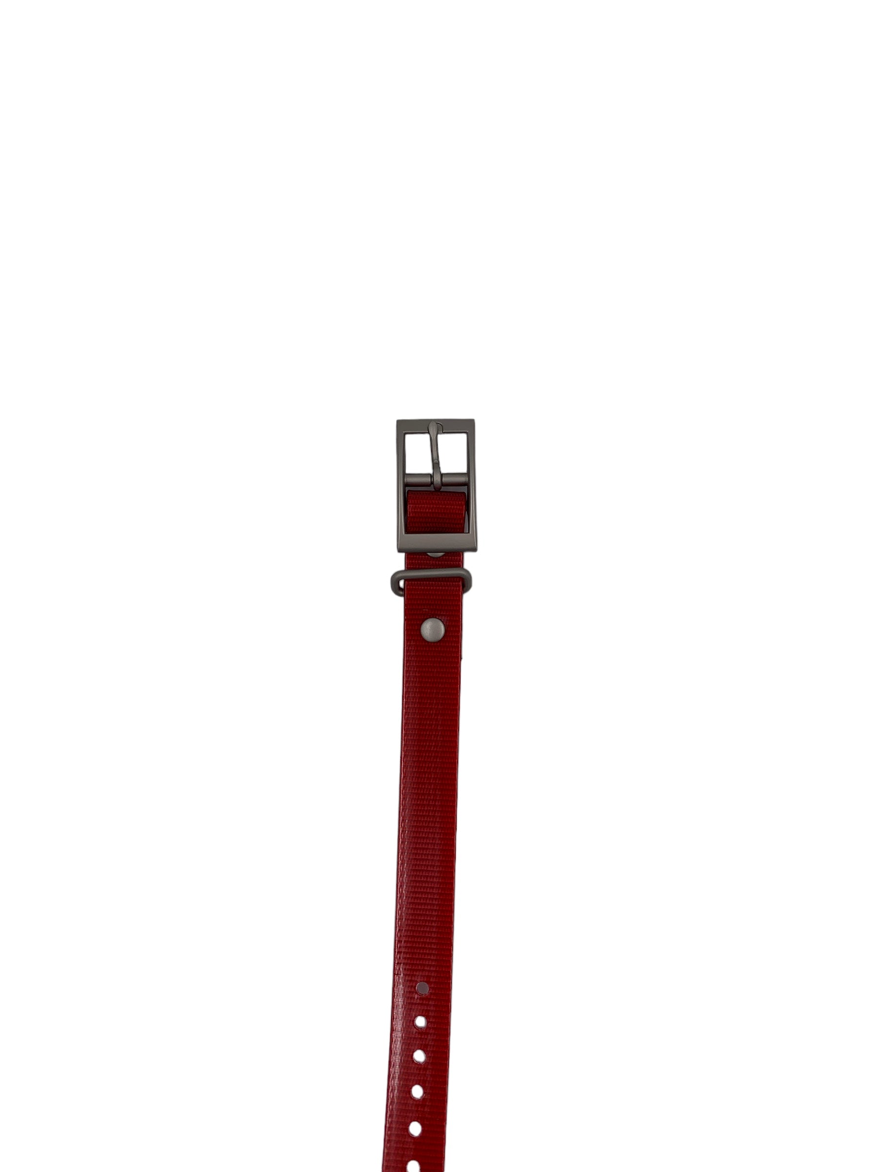 Red Garmin replacement dog collar strap for tracking setup.