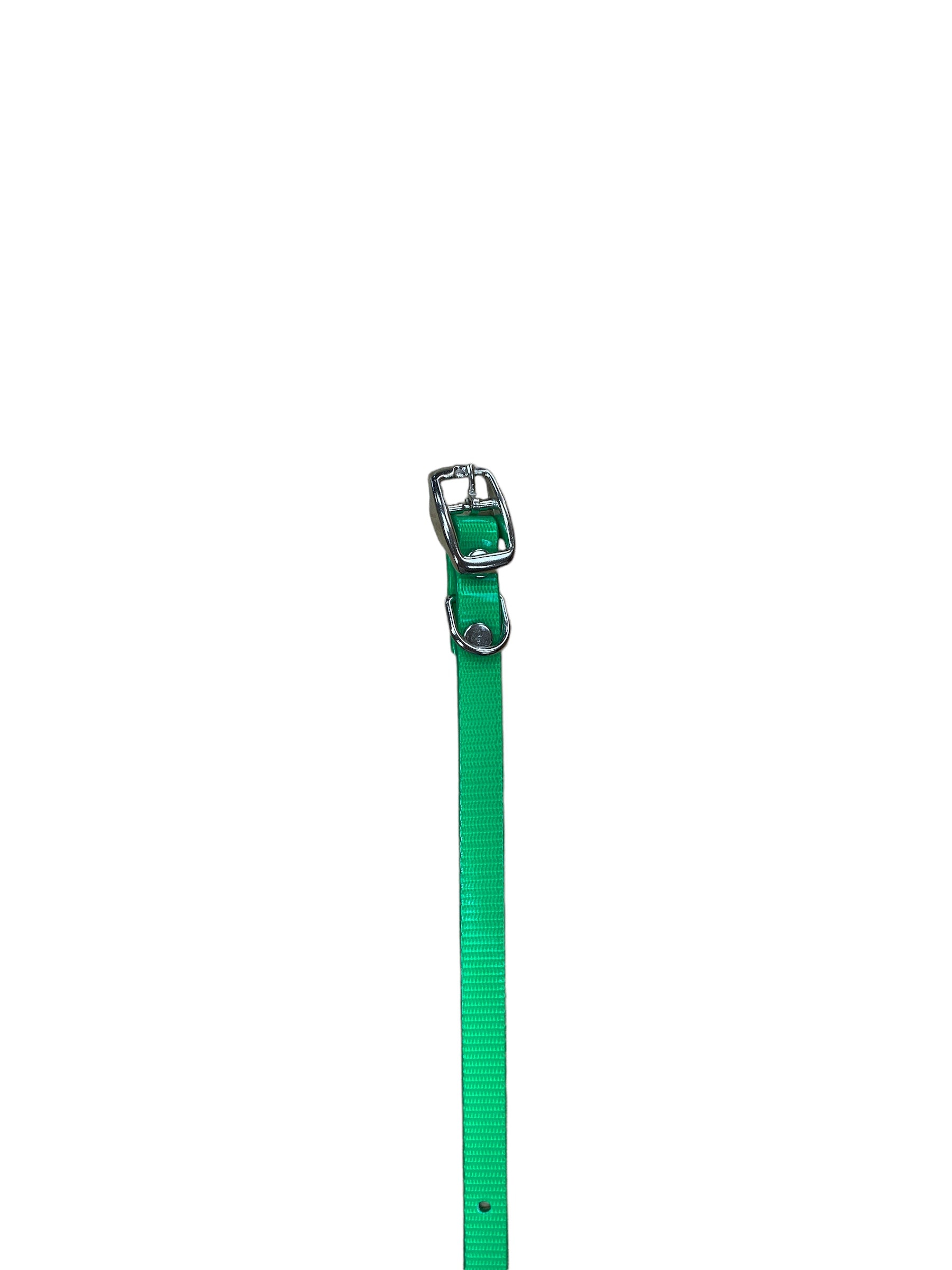 1/2" Solid Puppy Collar 10