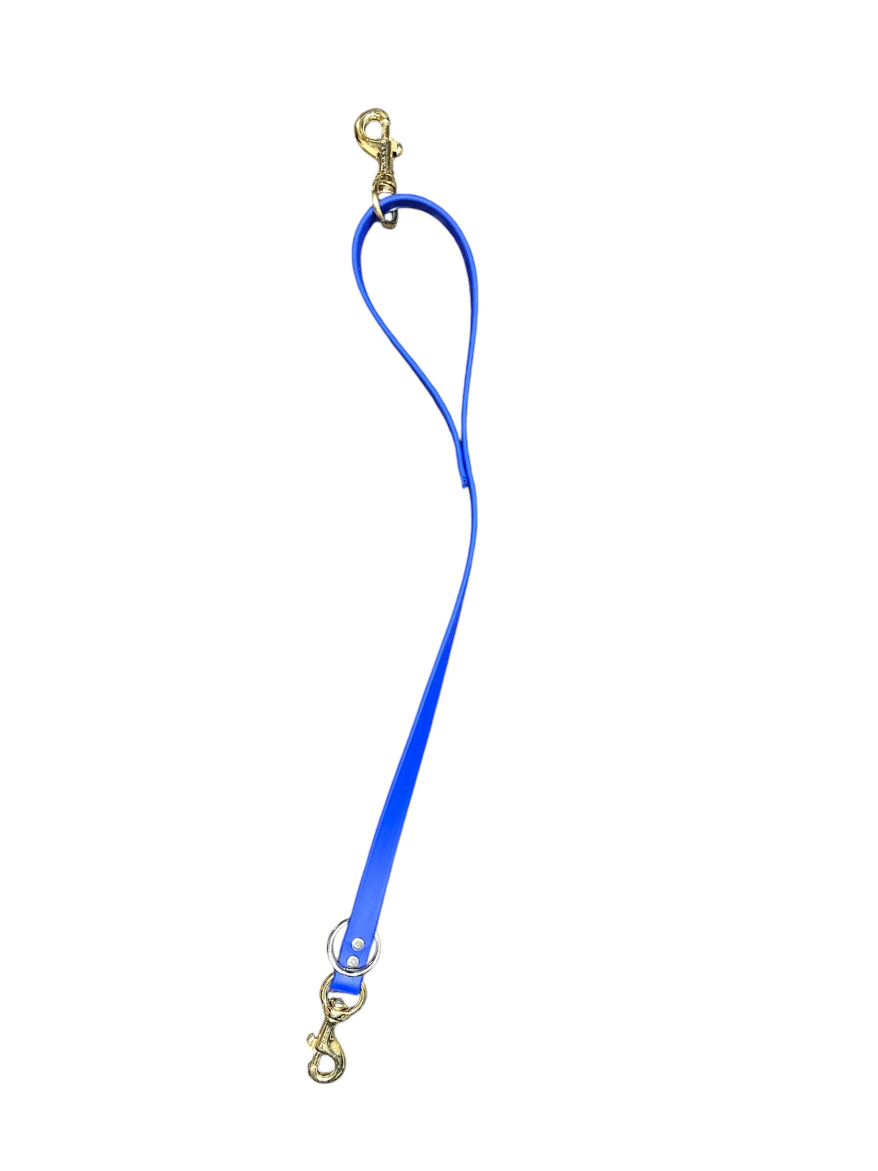 2 ft Beta Lead