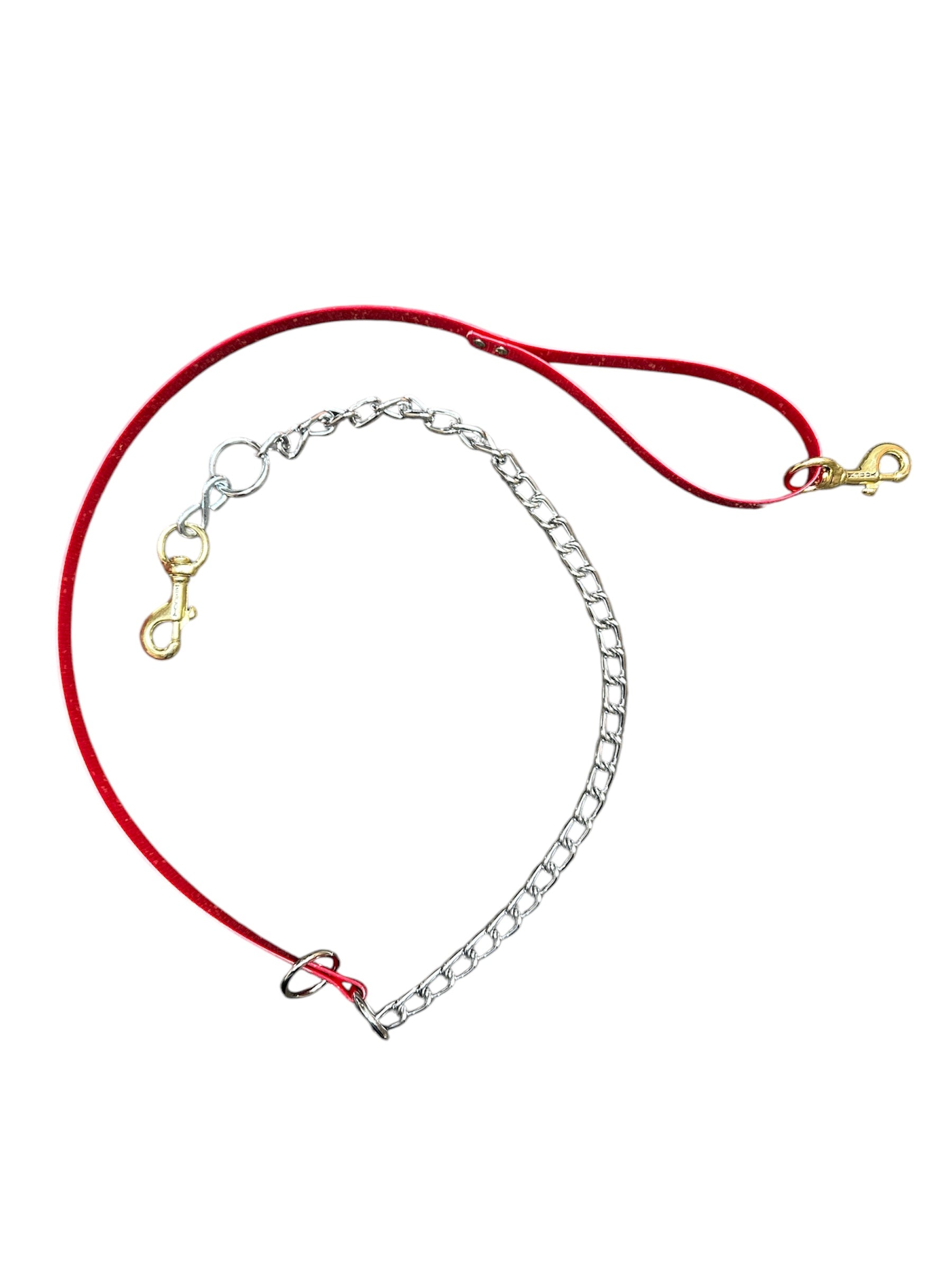 5ft Dayglo Lead w/ Chain