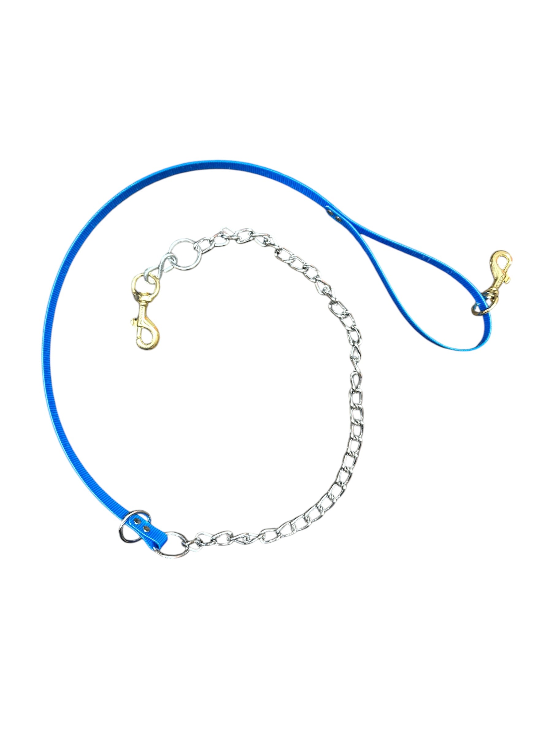 5ft Dayglo Lead w/ Chain