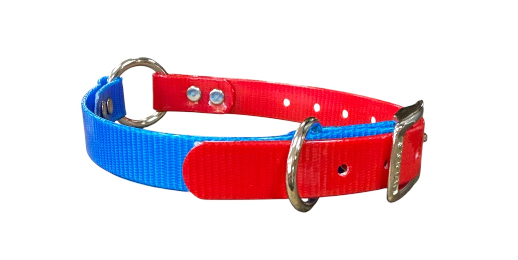 Dog and Hunt Custom Two Tone 3/4" Collars 16