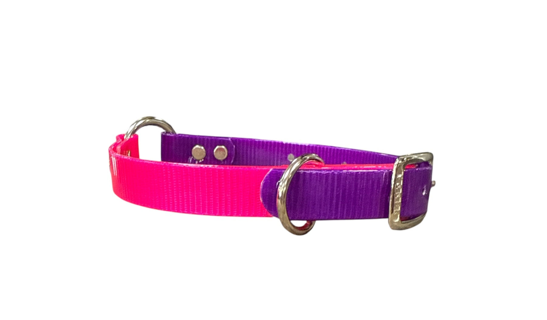 Dog and Hunt Custom Two Tone 3/4" Collars 16