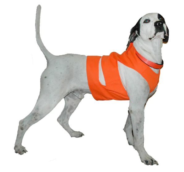 Boyt Dog Chest Protector- Orange