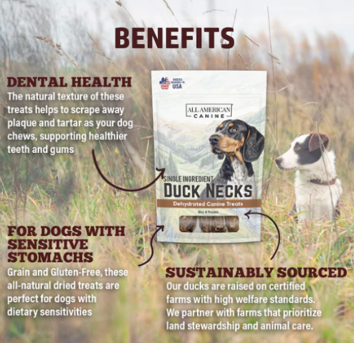 All American Canine - Dehydrated Duck Neck