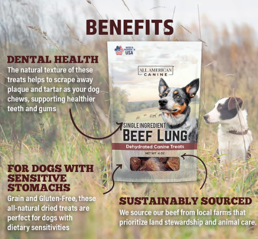 All American Canine - Dehydrated Beef Lung