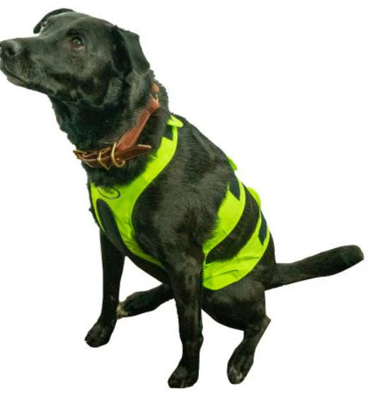 Boyt Dog Chest Protector- Green