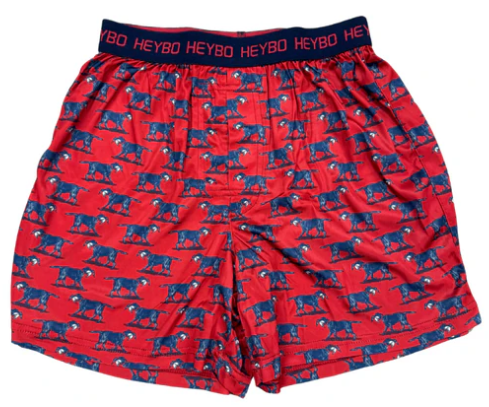 Heybo Lab with Mallard Boxers