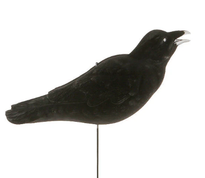 Banded FFD Elite Crow Decoys