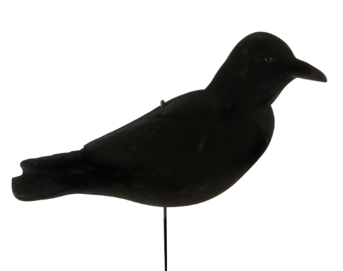 Banded FFD Elite Crow Decoys