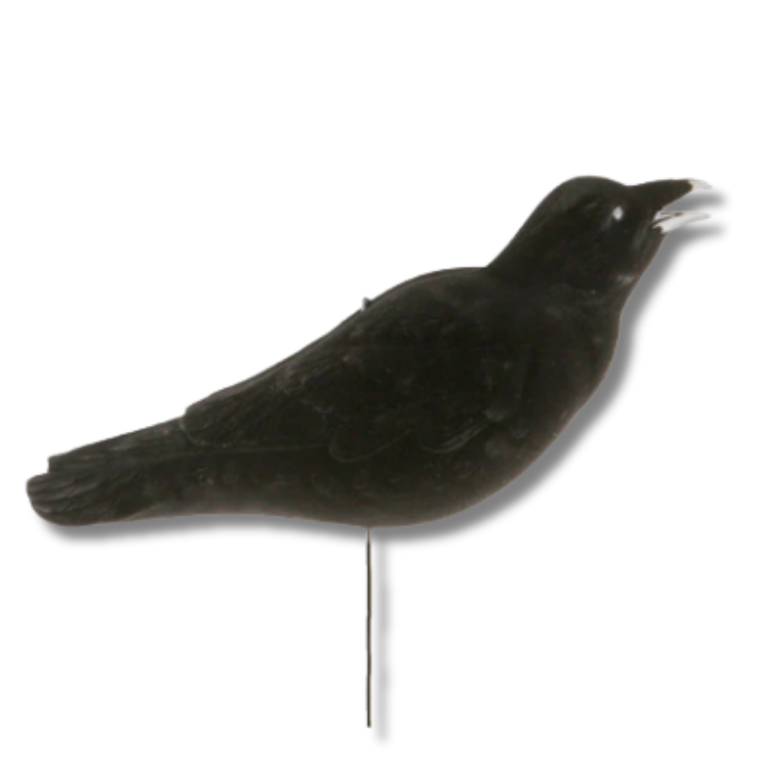 Banded FFD Elite Crow Decoys