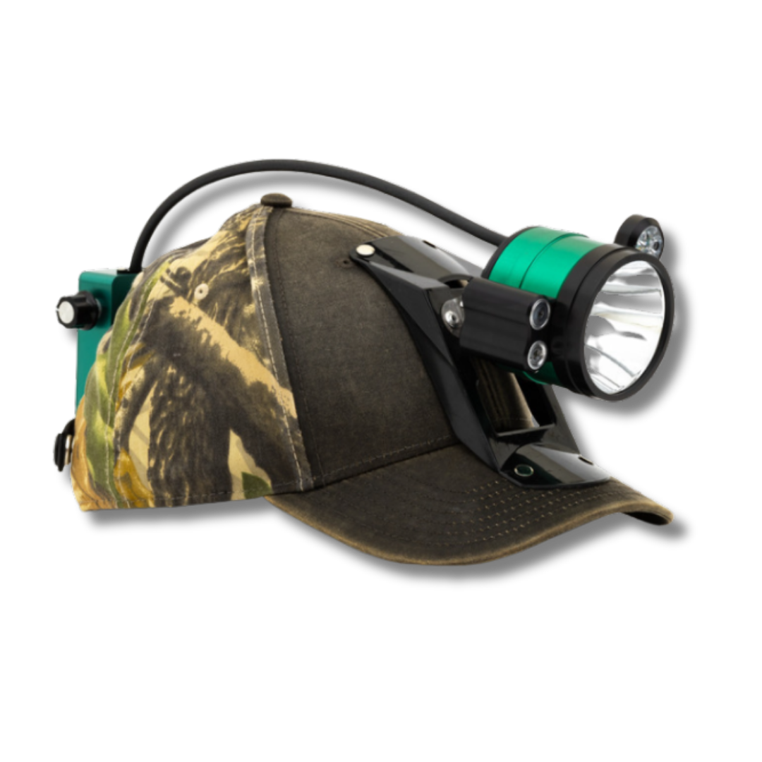 Big Dog Blitz Light