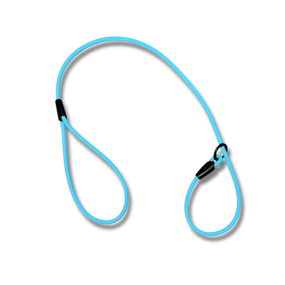 2ft Beta Show Lead