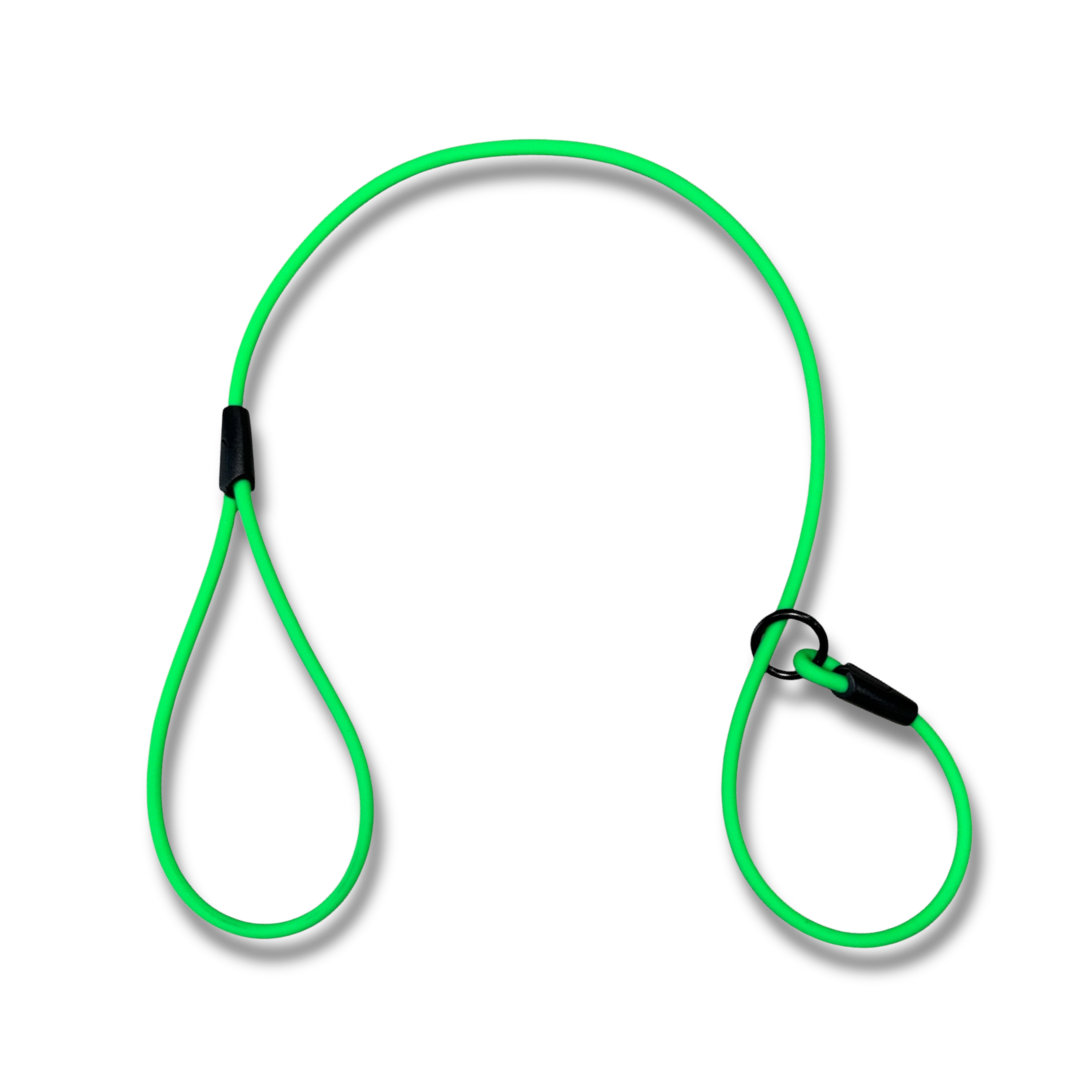 2ft Beta Show Lead