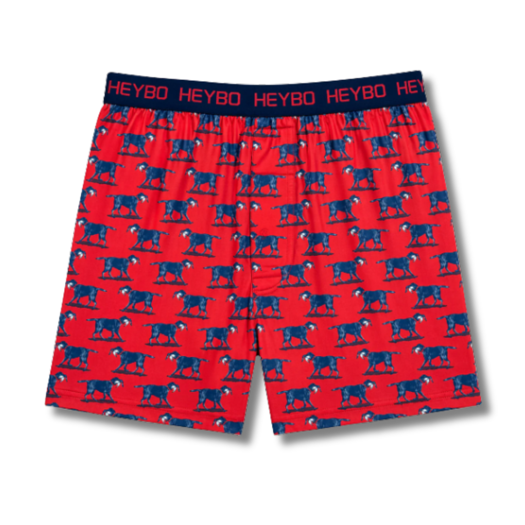Heybo Performance Boxers : Lab w/ Mallards