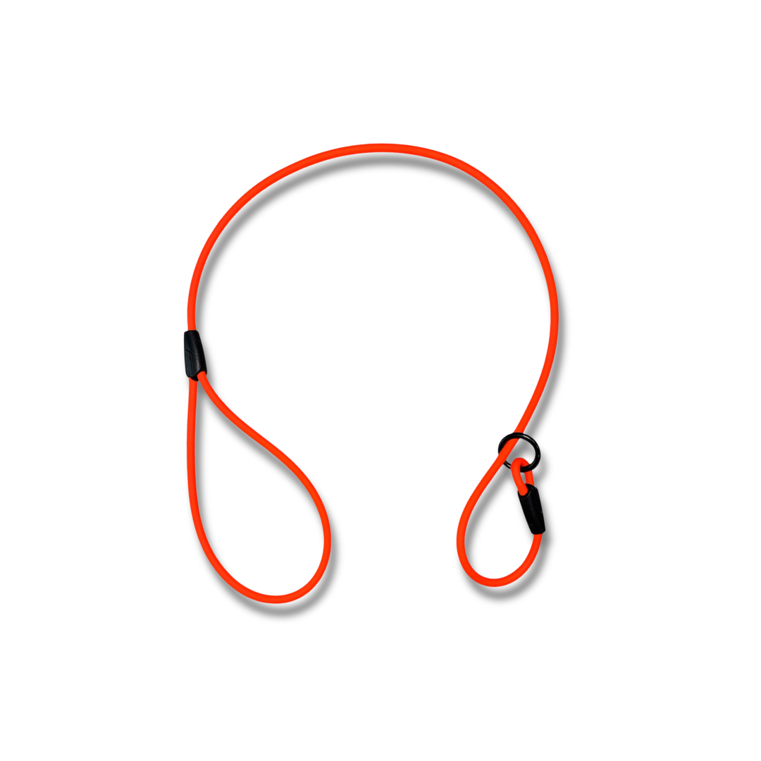 2ft Beta Show Lead