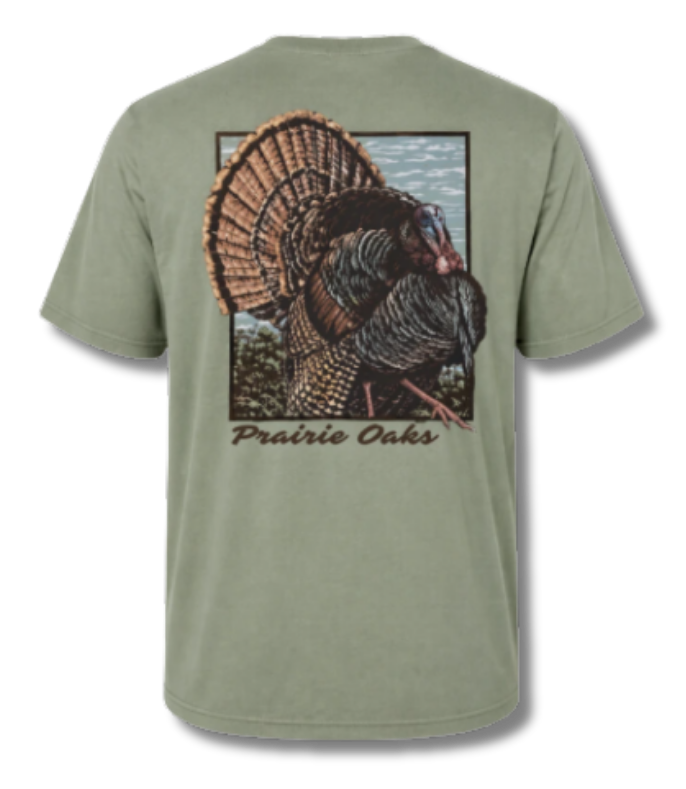 Heybo: Struttin Tom Tee