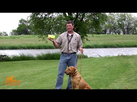 DT Systems Super Pro Dummy Launcher