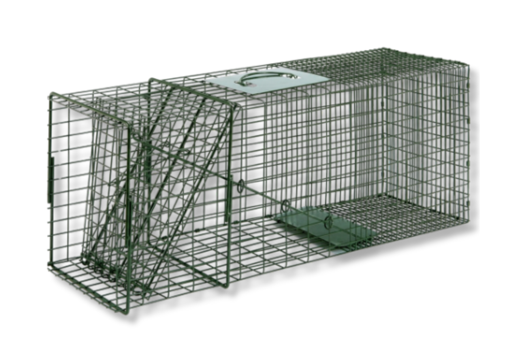Duke Standard Cage Traps