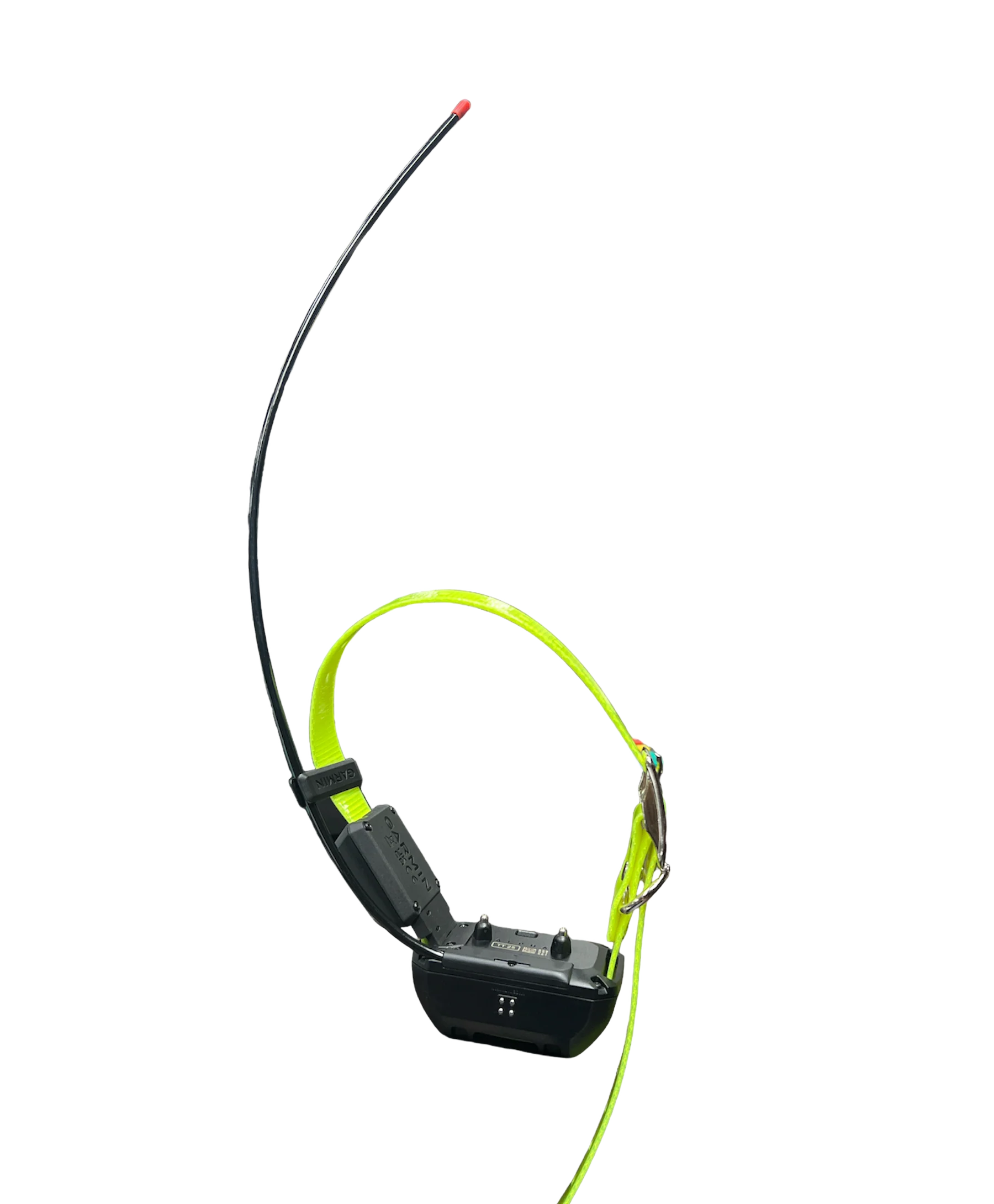 Garmin TT25 Mini Dog Tracking & Training Collar Questions & Answers
