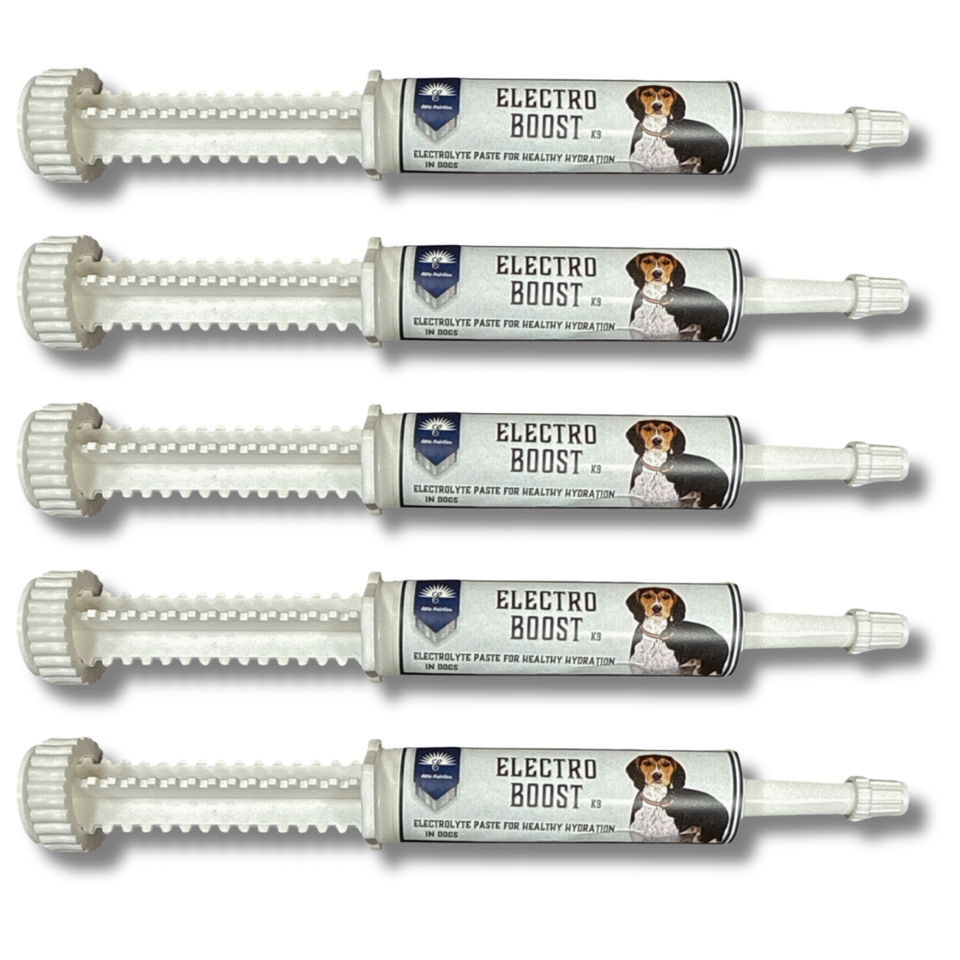 Wide range of outdoor pet supplies for active dogs.