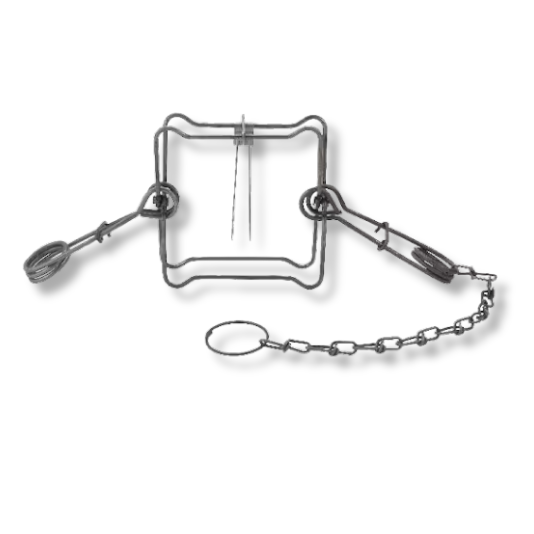 #160 Duke Double Spring Body Grip Trap