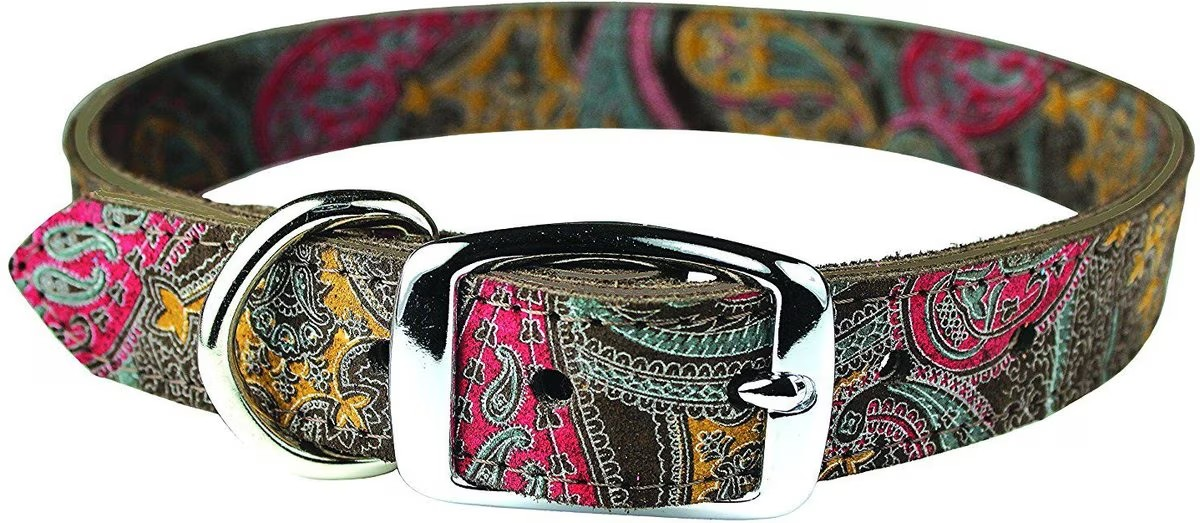 OmniPet Paisley Leather Dog Collar