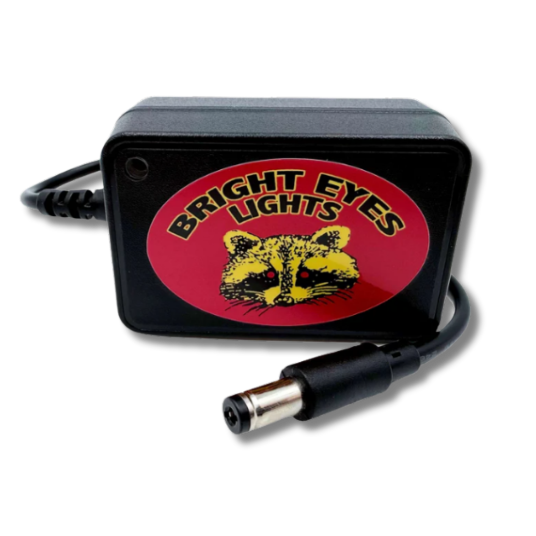 Bright Eyes 4.2 Volt Charger