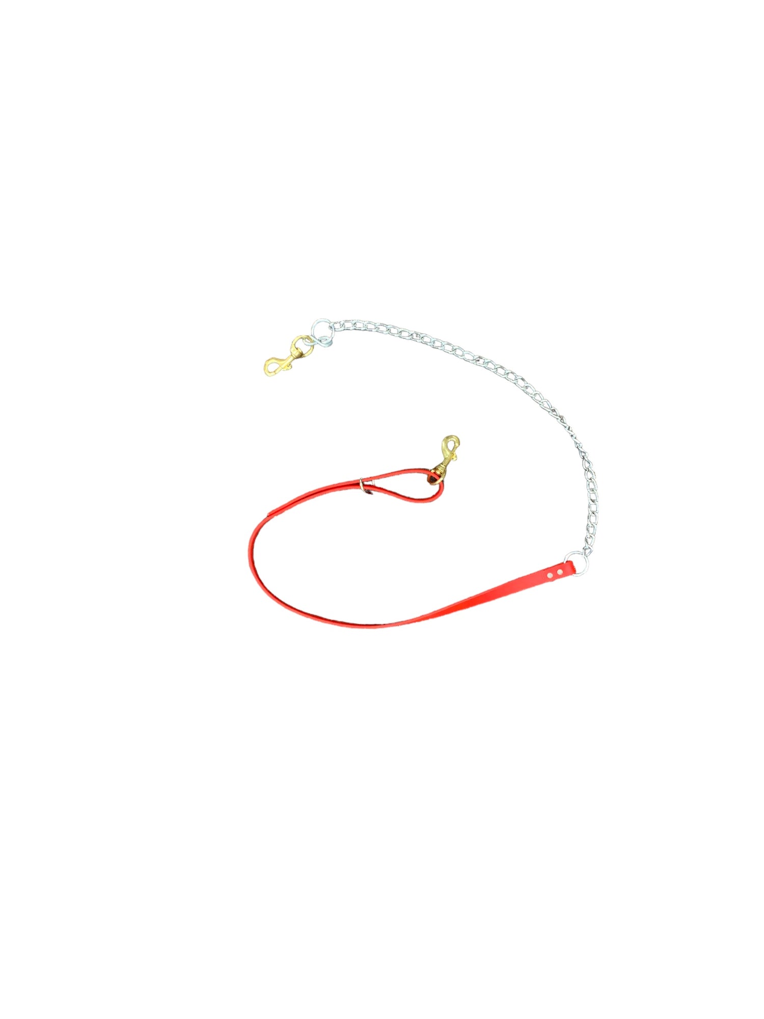 5ft. Beta Strap Lead w/ Chain