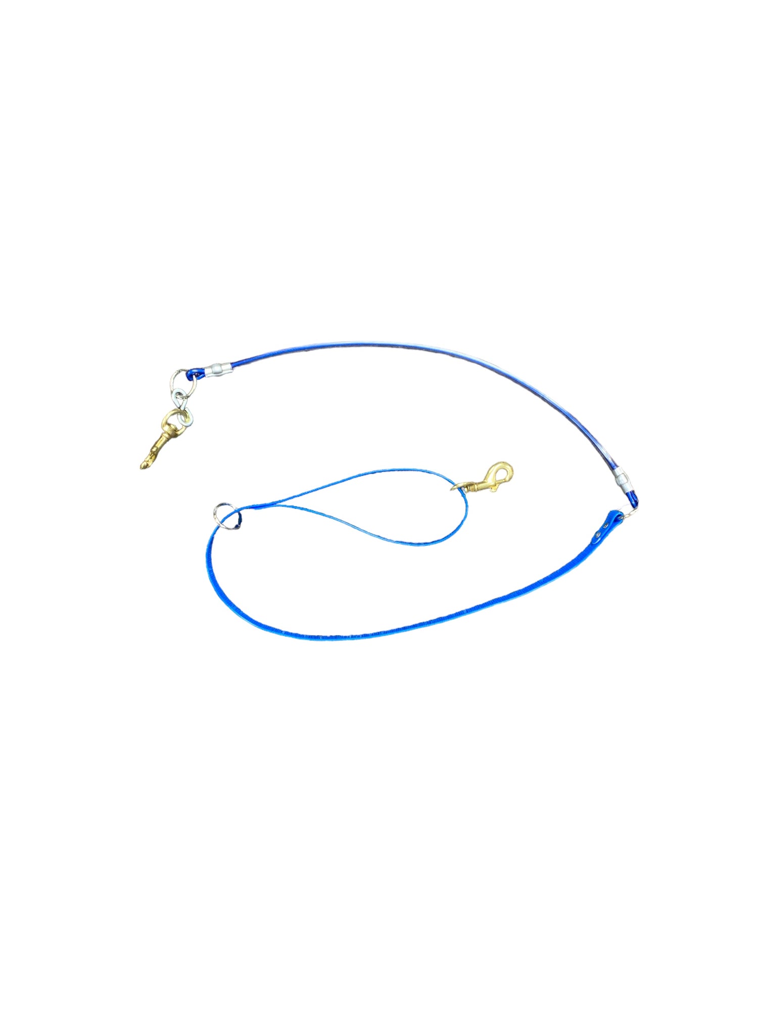 5ft. Dayglo Strap Lead w/ Cable