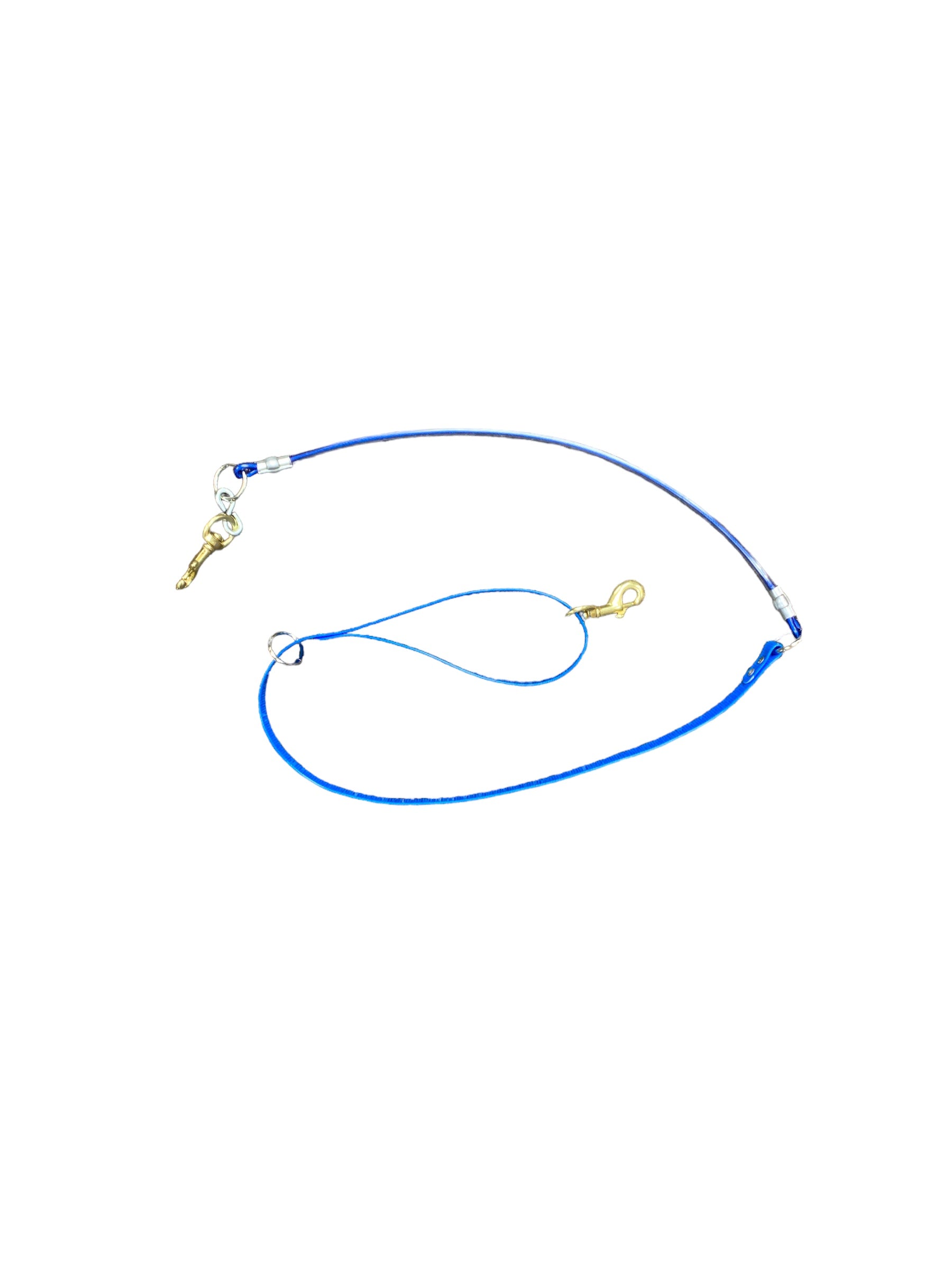 5ft. Dayglo Strap Lead w/ Cable