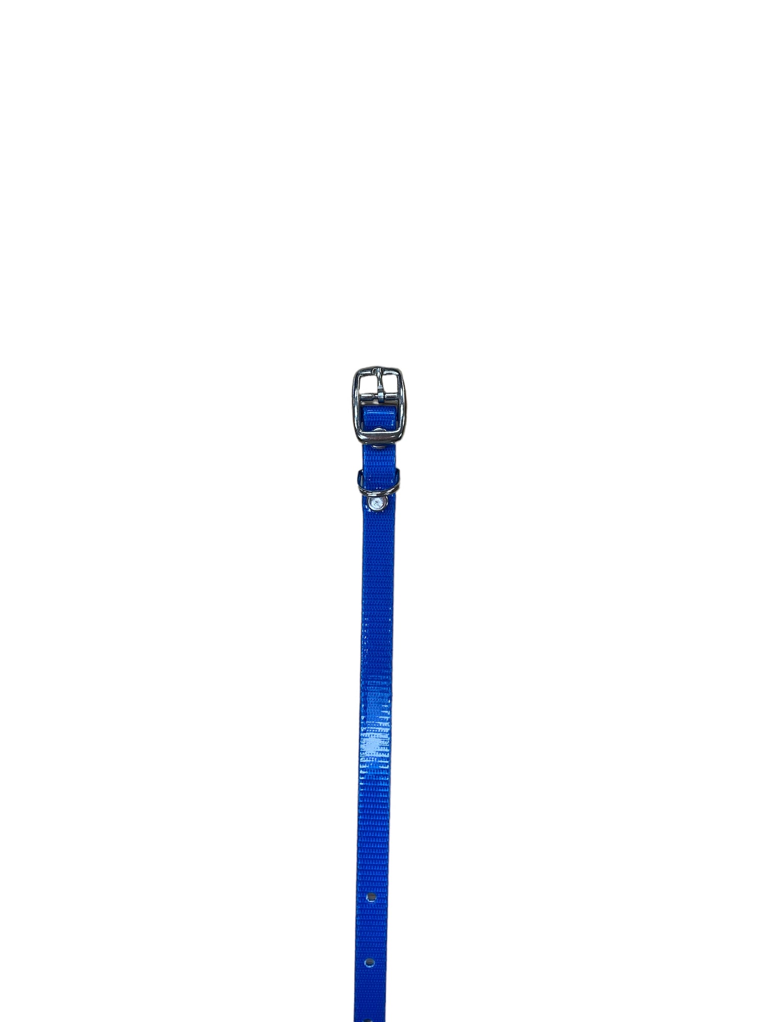 1/2" Solid Puppy Collar 10