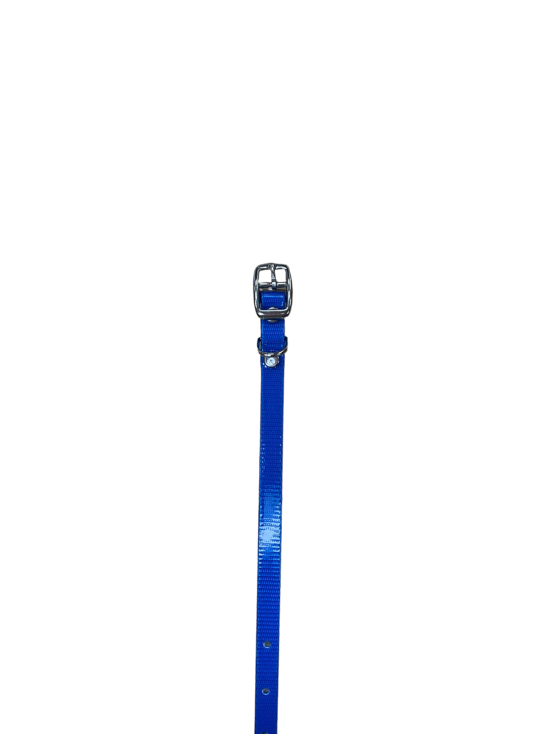 1/2" Solid Puppy Collar 10