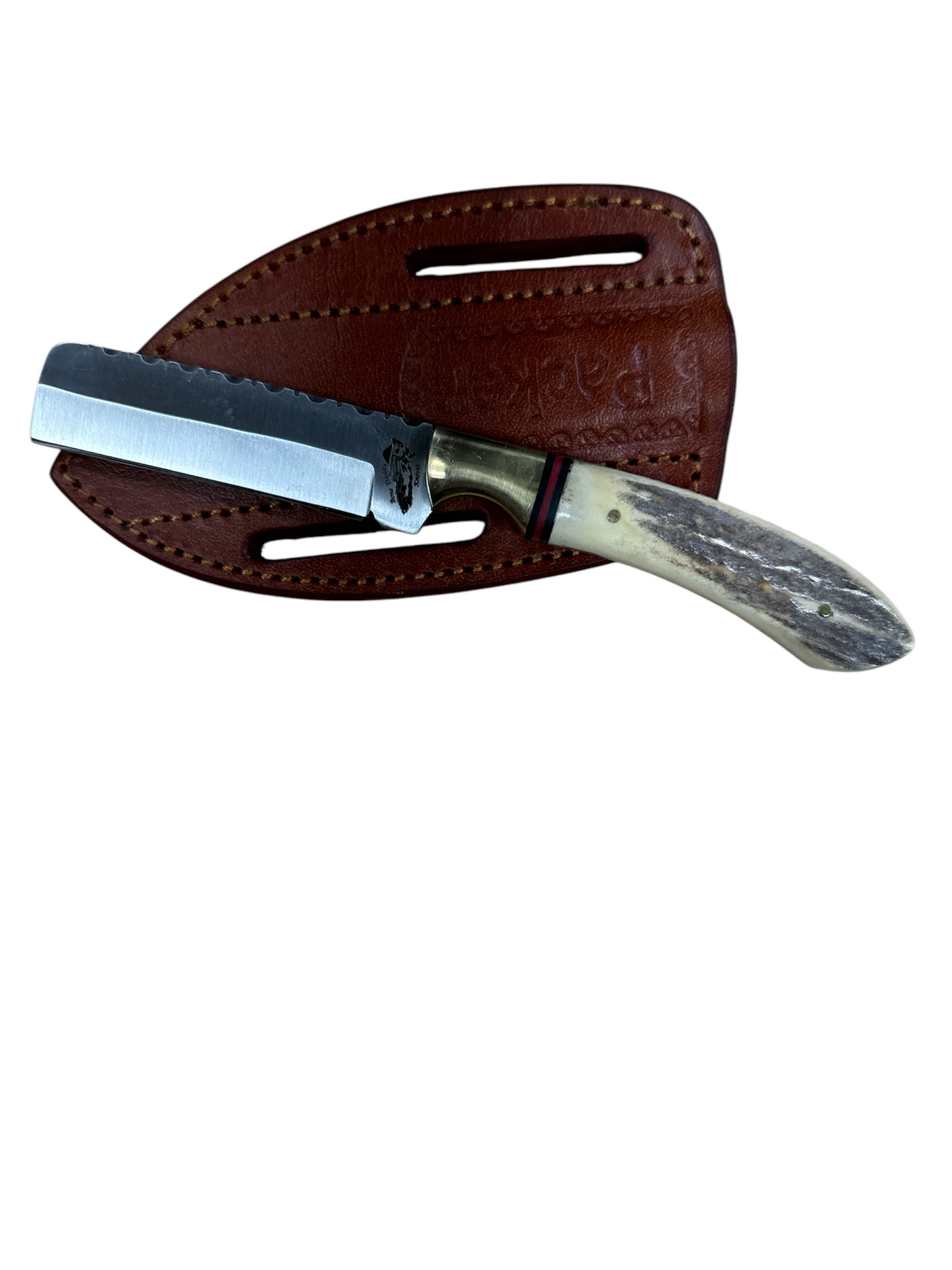 Packer Bull Stainless