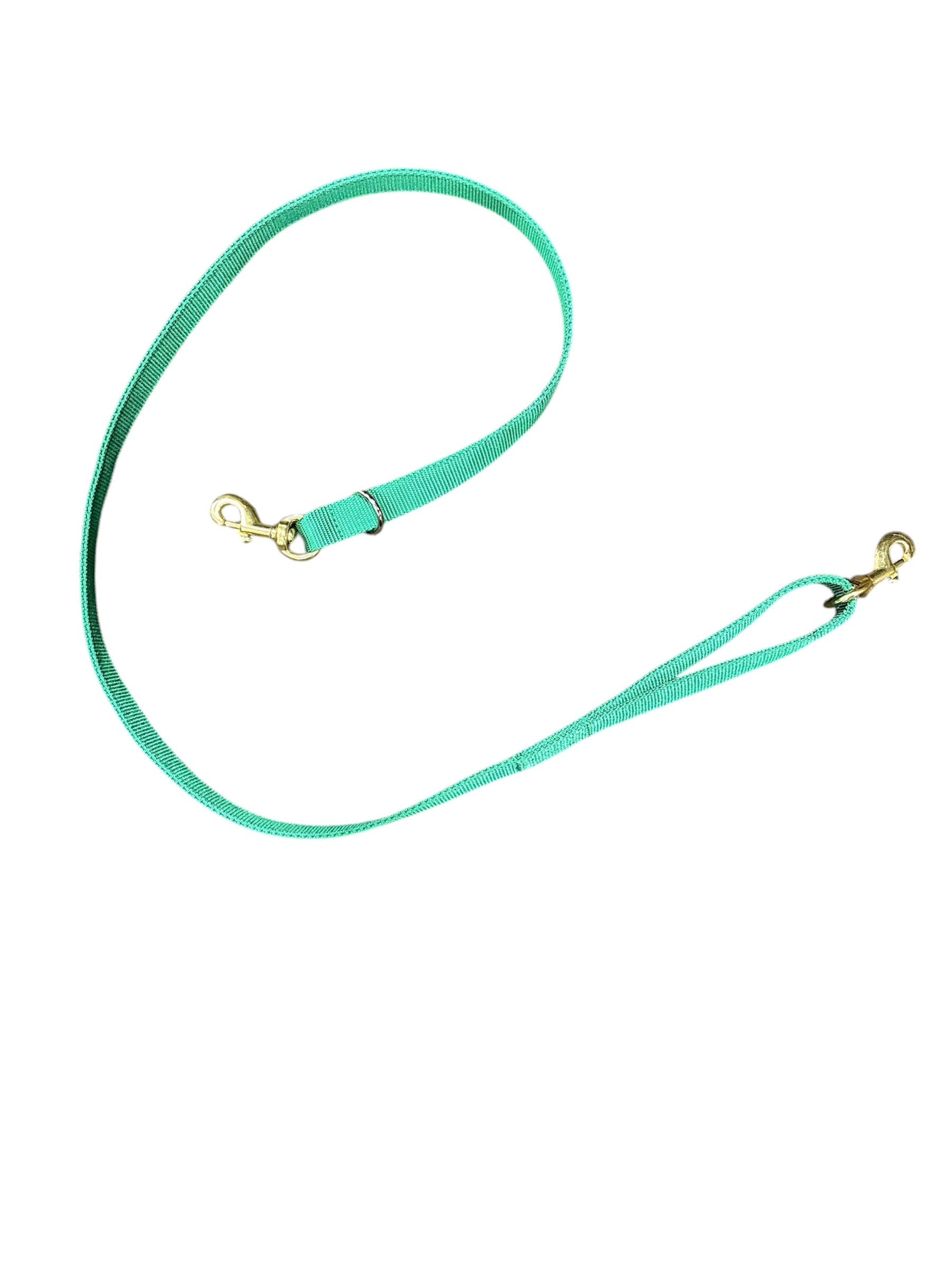 5ft Solid Nylon Lead