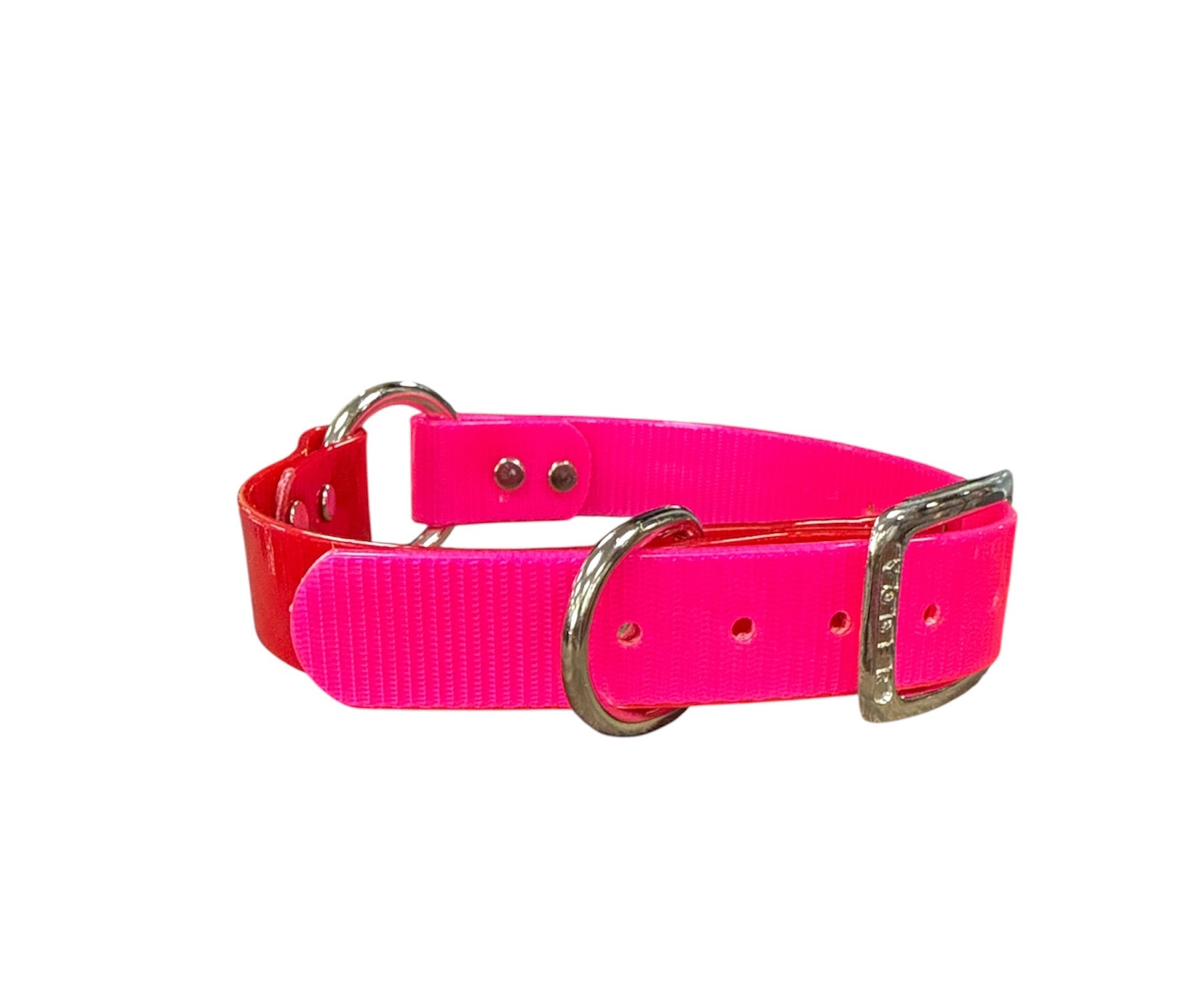 Dog and Hunt Custom 1" Two-Tone Collar
