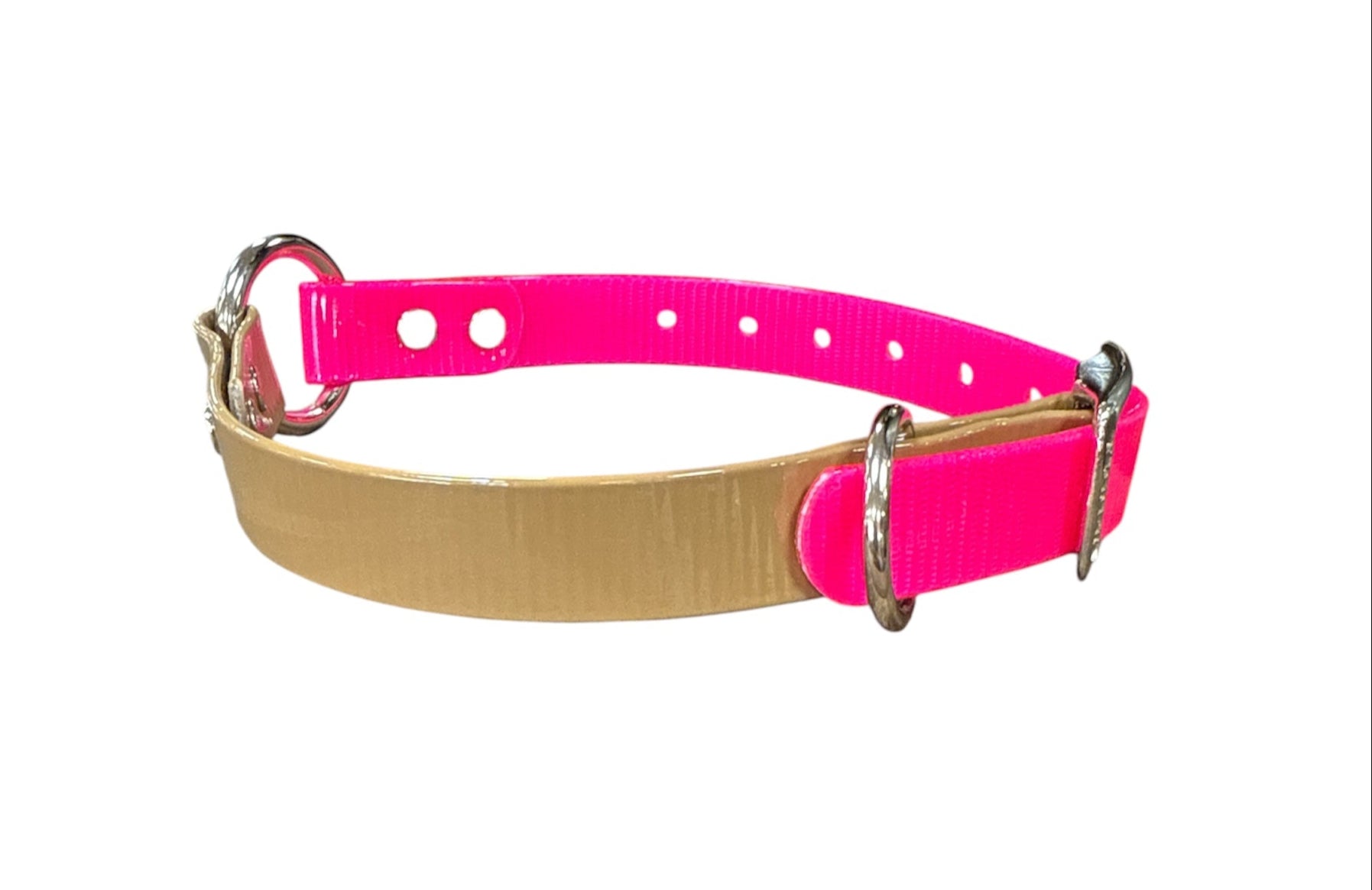 Dog and Hunt Custom Two Tone 3/4" Collars 16