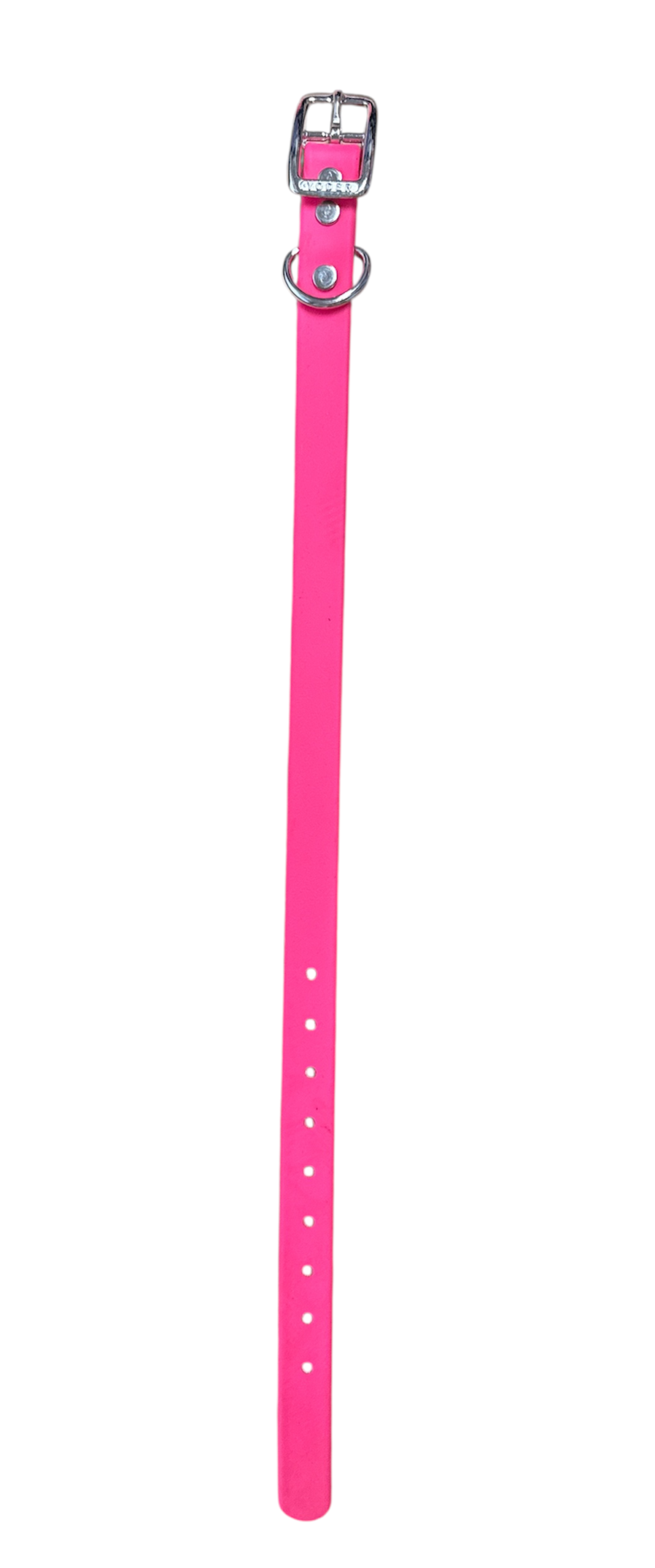 Beta Puppy Collar 16