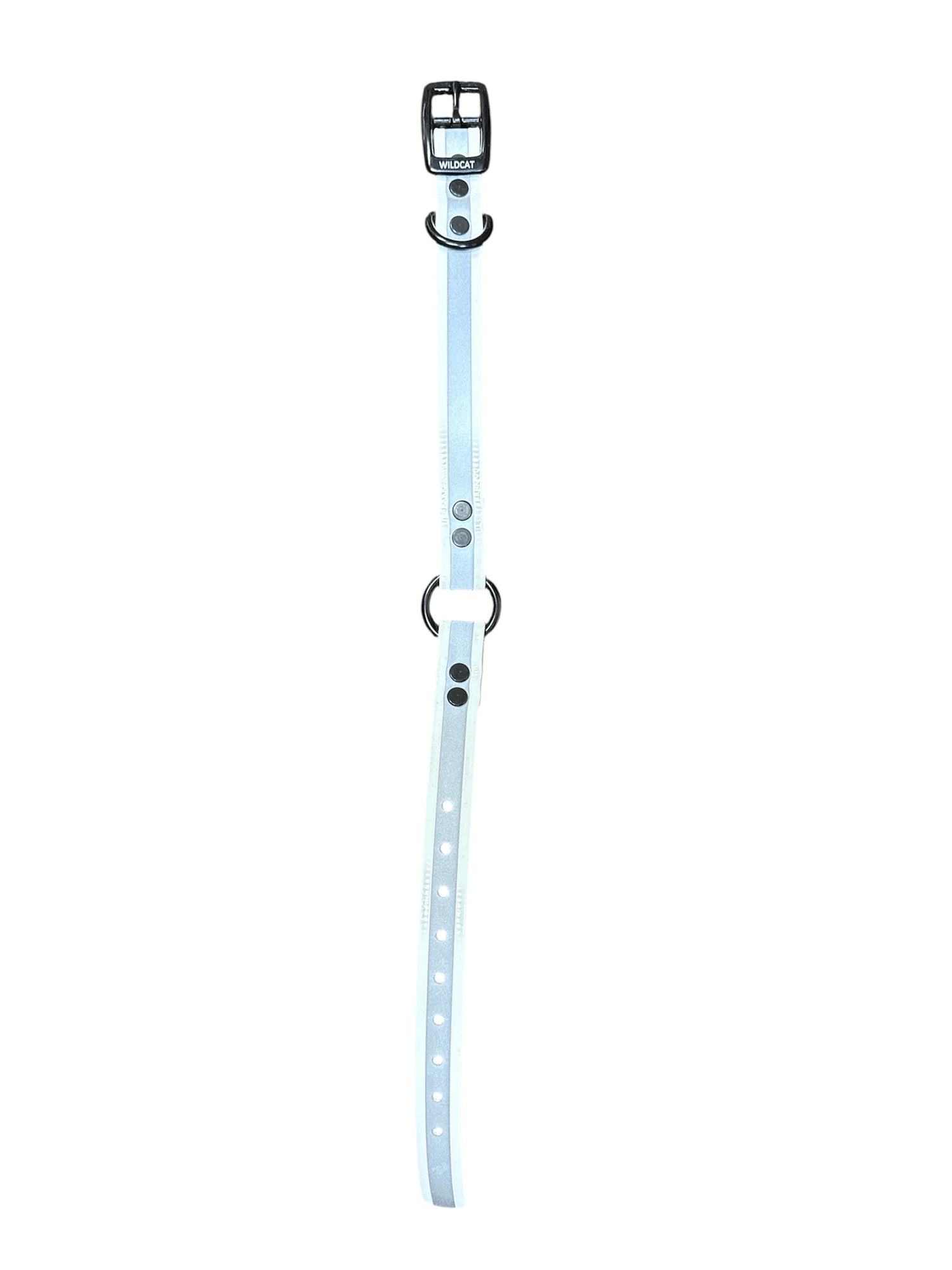Wildcat 3/4" Reflective Collar w/ Ring & Black Hardware