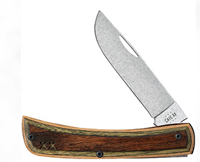 case 66381