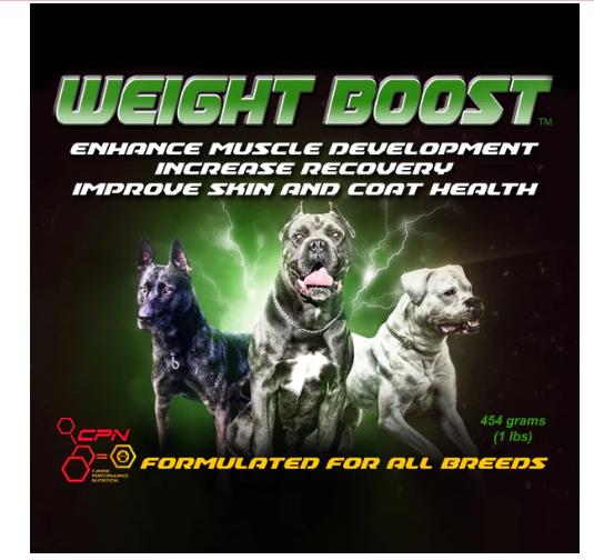 Weight Boost Supplement