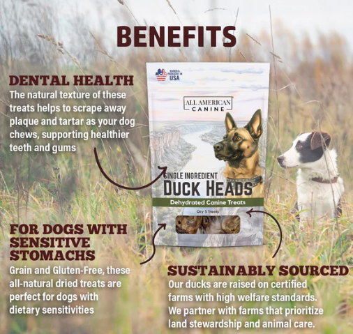 All American Canine - Dehydrated Duck Head