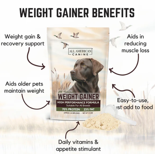 All American Canine - Weight Gainer