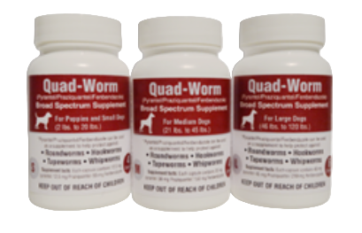 Quad-Worm Supplement for Puppies and Small Dogs