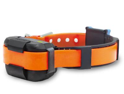 Dogtra Smart Fence Collar