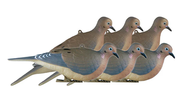 Banded GHG Mourning Dove Decoys