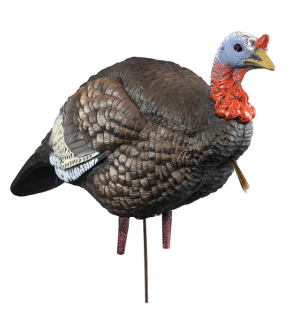 Higdon Outdoors Hard Body 1/4 Strut Jake Turkey
