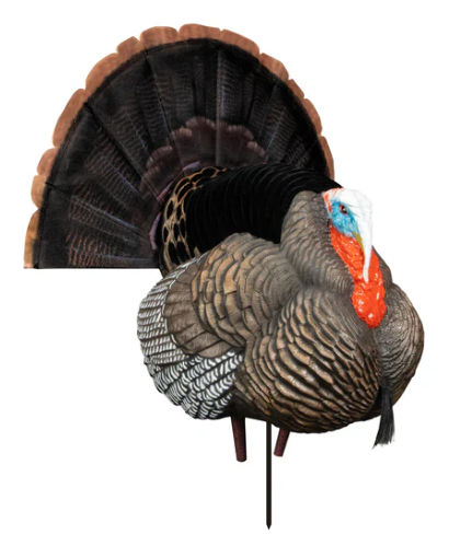 Higdon Outdoors Apex Strutter Premium Turkey Decoy