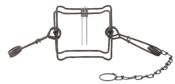 #220 Duke Body Traps - 7" Jaw Spread